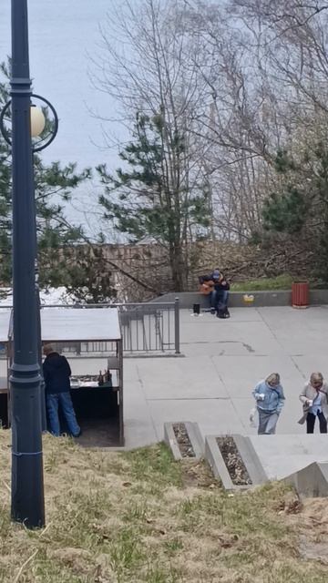 Светлогорский гитарист.