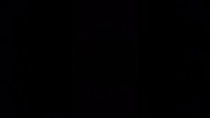 Варя лапинлапина