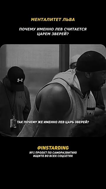 Почему Лев Царь Зверей Лучшая Мотивация на Успех