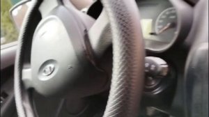 petal_20260405_152030.mp4