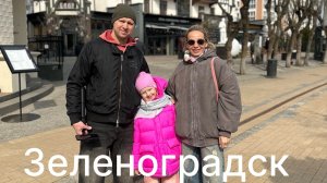 Прогулка с Милой по Зеленоградску, едем на Куршскую косу, нашли Янтарь, посетили музей котов