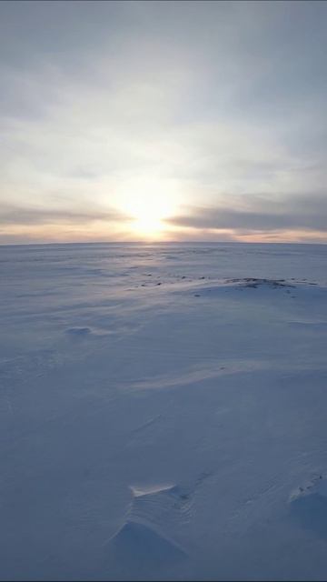 Зимний закат над ледяной пустошью #природа #зимнийпейзаж #закат