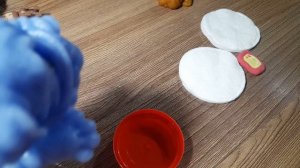 День со сквишь собачками