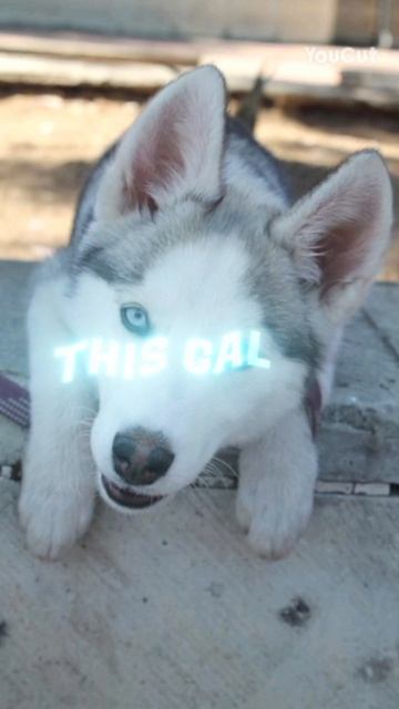 ну как вам такой эдит?