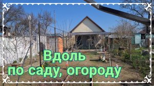 Сад и огород 5 апреля на юге. Ремонт в Ейске... Готовим пирог. Как отличить мойву с икрой?