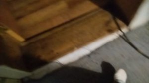 вечерний влог у бабушки / с басиком 1 часть