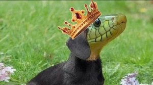 Маенкрафт 3