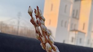 Дела больничные и огородные Саяногорск Хакасия