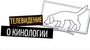 Воскресный стрим.