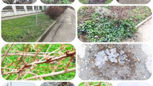 Видеоблог: Один из дней города Евпатории  | 8 февраля 2021 г | Крым | ХАН БАТОН | XAH 6ATOH