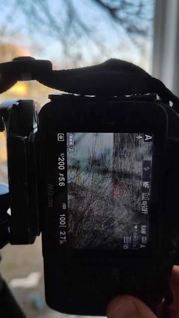 Угол зрения объектива на полном кадре и на кропе #nikon #canon #canon5dmarkiii #nikond3100