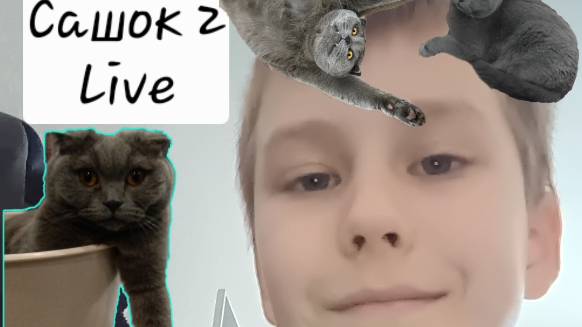 Сашок2 Live