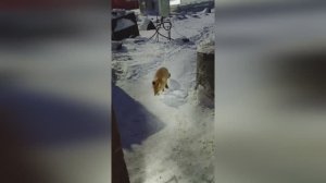 Вчера и сегодня.