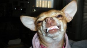 Хейтеры, на что надеетесь? Блокировал, блокирую и блокировать буду...