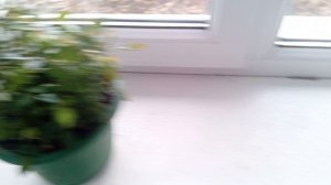 Пышки на кефире, читаем сказку.