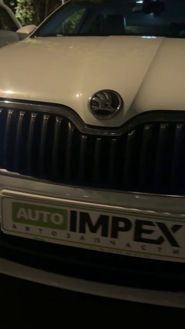 Шкода Октавия А7 2013-2016 года Фары с Biled модулями