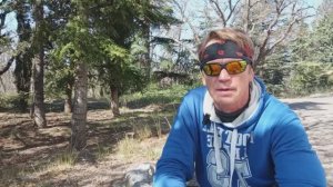 Розмарин пряность. Приправа с Юга .