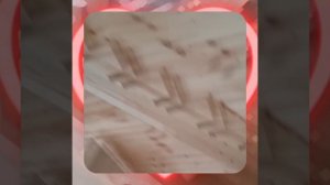 1000055108.mp4 (Собака наблюдает за устройством лестницы на 2-ой этаж в доме А-фрейм)