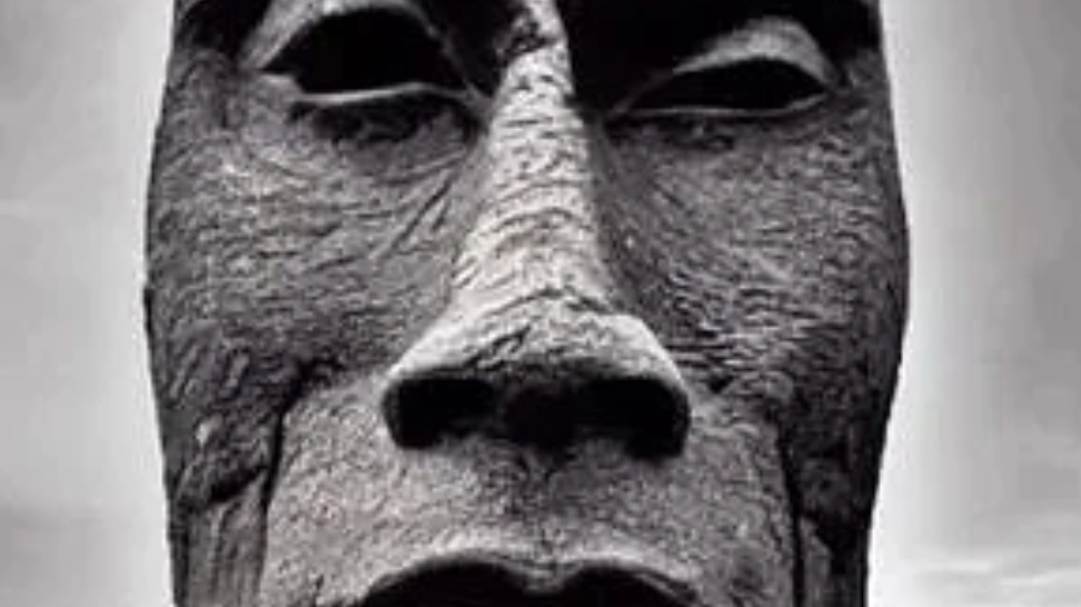 Стример вырасти сад