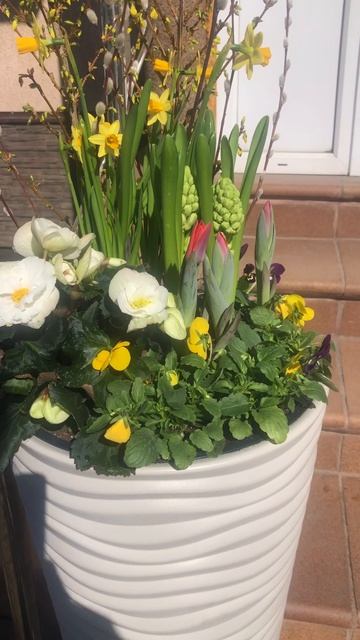 Цветы радуют всегда!!!#цветы #праздник #счастье #красота