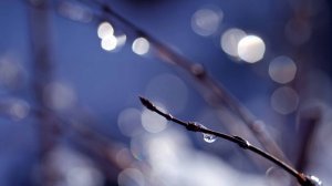 Воскресное собрание. Вербное. 05.04.2026