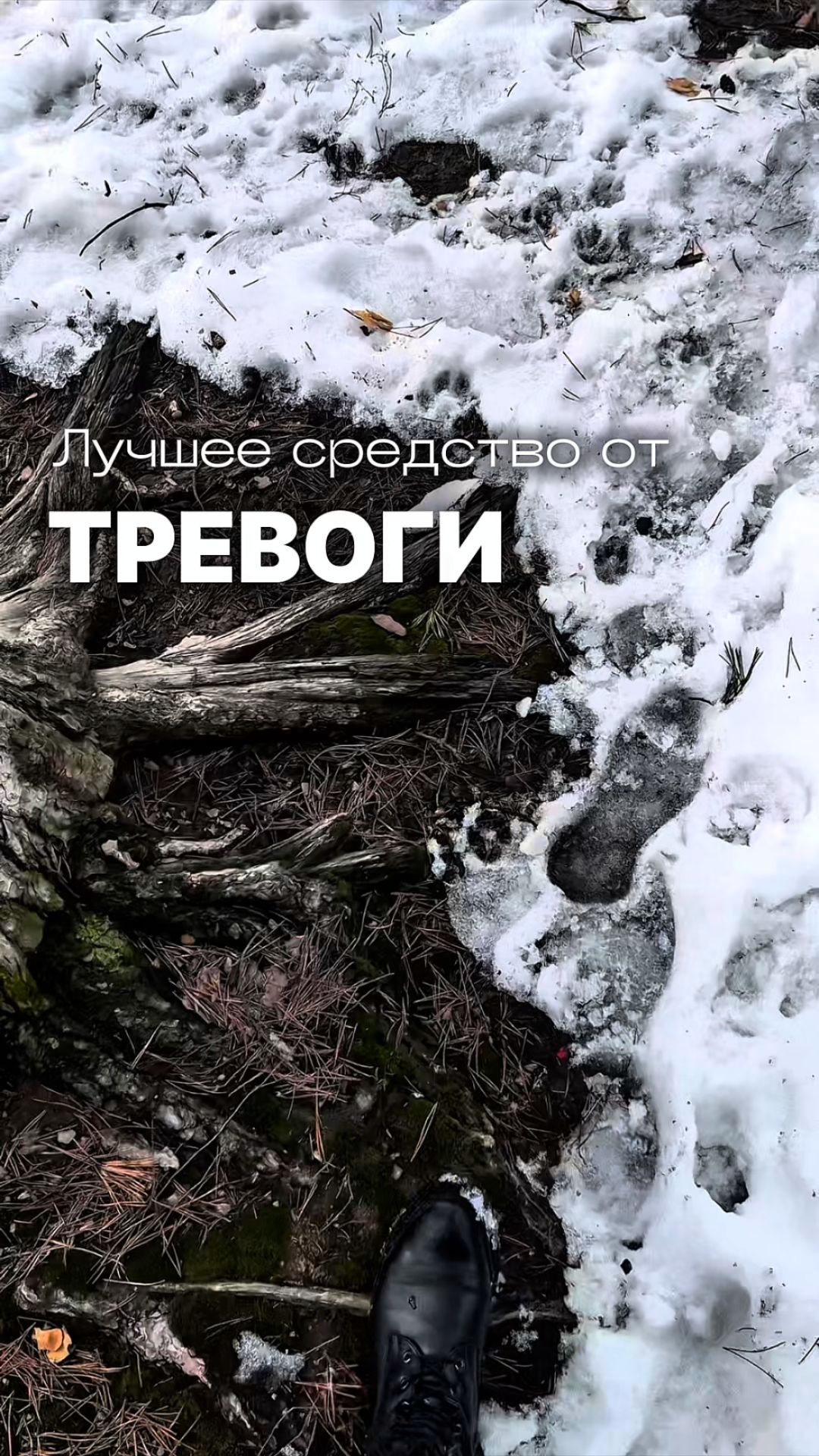 Лучшее бесплатное средство от тревоги #психология #ментальноездоровье #интроверт