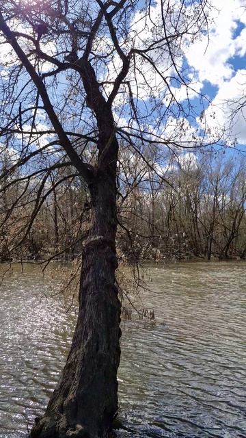 Прогулка "Боева дача" Курск весна 2026