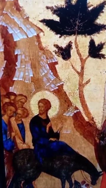 С Вербным воскреньем Вход Господень в Иерусалим.