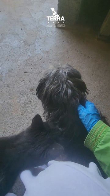 Васю переселили