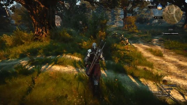 Ведьмак 3. 96 серия. За старым Ямрозом