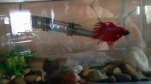 Обзор рассады на 04.04.2026 год