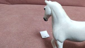 Мини фильм "настоящая дружба с животным" /лошади шляйх/чит. описание