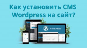 Как установить CMS Wordpress на сайт в хостинге Бегет?