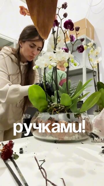 #комнатныерастения #озеленение #фитодизайн