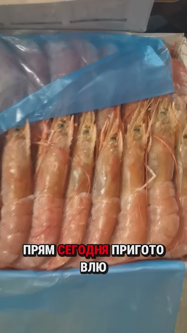 Это всё я взяла бесплатно! 😍