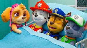 Не плачь, Скай: трогательный момент из „Щенячьего патруля