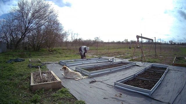 Погром на участке. Март на южном Хуторе.