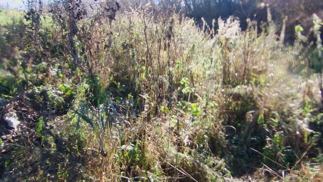 Последнее путешествие на мопеде АЛЬФА в 2024г.