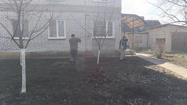 Уборка в курятнике. Наводим порядок во дворе. Обрабатываем деревья.