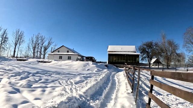 Подарок забрал ! Дедушке помог ! Насос снял ! ХУТОР В ЛЕСУ №983