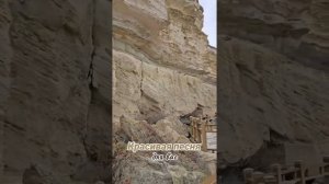 Для чего Ты живёшь человек?