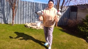 ЖИЗНЬ В СЕЛЕ:часть1/  НАВОЖУ КРАСОТУ В САДУ