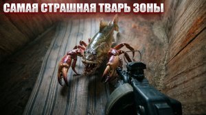 САМАЯ СТРАШНАЯ ТВАРЬ ЗОНЫ (45) | СТАЛКЕР НАРОДНАЯ СОЛЯНКА OGSR 2026