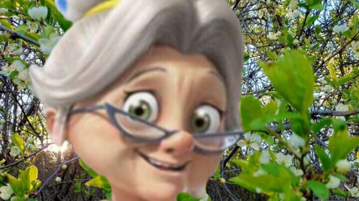 Салат из свежих овощей