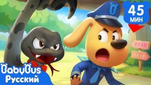 🍿🐍Кто за мной следит ? | Безопасность в жизни | Шериф Лабрадор