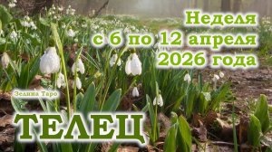 ТЕЛЕЦ | ТАРО прогноз на неделю с 6 по 12 апреля 2026 года
