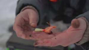 Налим после нереста, февраль. Рыбалка на налима на реке Кама, Нижнекамск. Удочка на налима