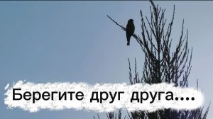 Берегите друг друга....