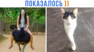 ПОКАЗАЛОСЬ ))) Приколы | Мемозг 1739