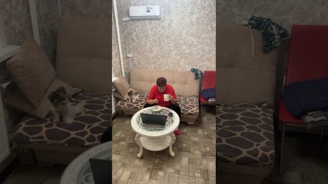 Поговорим)#дневникбагиры